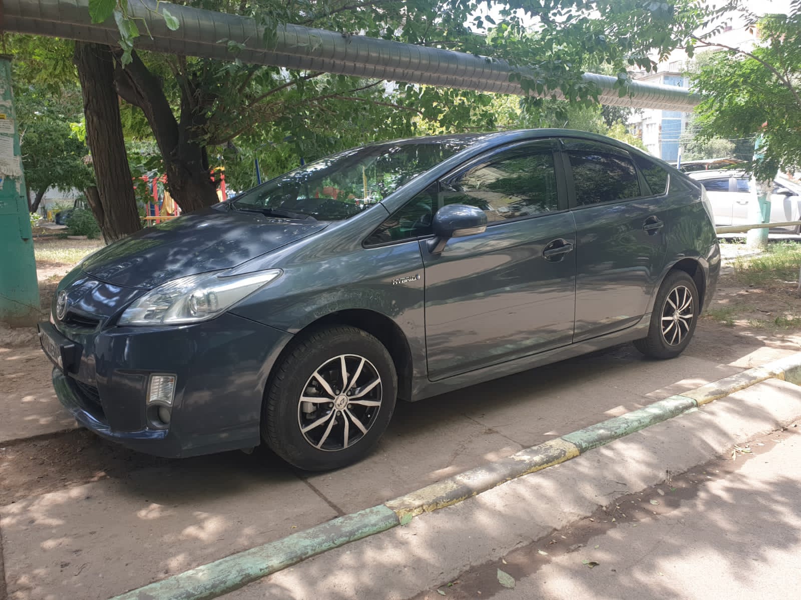 Собаки погрызли автомобиль