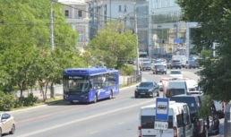 В Астрахани опиливают деревья на улицах с «выделенками»