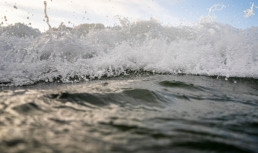 Качество морской воды в Сочи соответствует нормам