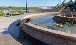 Астраханцам рассказали, почему не стоит купаться в городских фонтанах