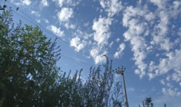 21 августа в Астрахани будет переменная облачность