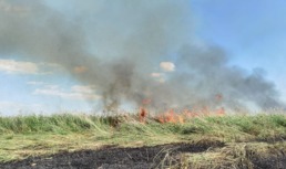 Вчера в Астраханской области потушили масштабный пожар