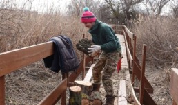 В Астраханский биосферный заповедник требуются волонтеры