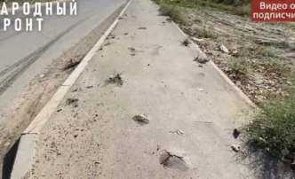 Астраханский тротуар пробили «суровые» сорняки