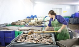 Астраханское рыбное предприятие отмечает 90-летие