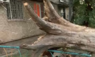 В Астрахани дерево упало на электрические провода