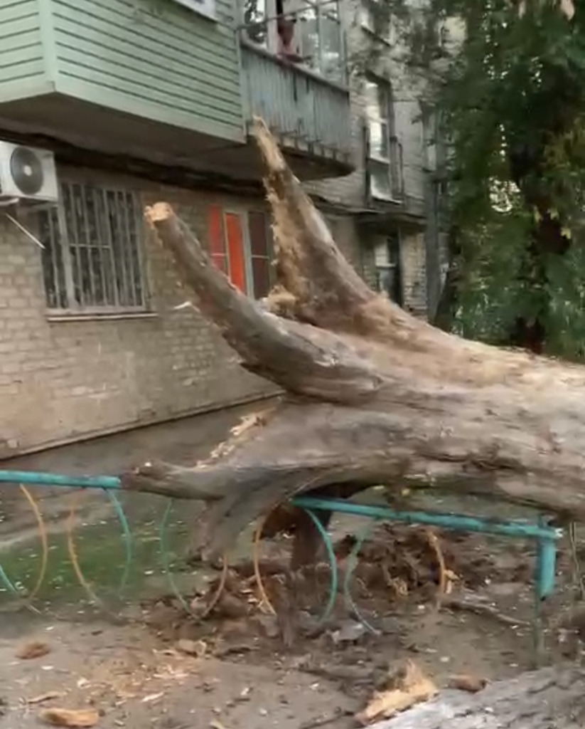 В Астрахани дерево упало на электрические провода