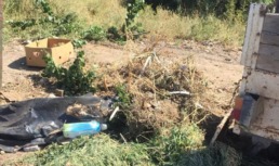 В Астраханской области мужчина заплатил штраф за сброс отходов на почву