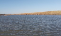 В Астраханской области завершили расчистку водного тракта