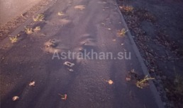 В Астрахани новый тротуар не простоял и двух месяцев