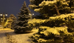 В начале ноября в Астрахани ожидается трехдневный снег