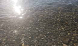 вода река рыбак