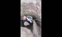 В Астраханской области старшеклассники помогли собаке, упавшей в яму