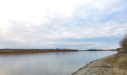 Волга река вода обмеление