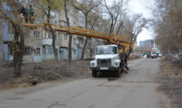 В Астрахани занимаются опиловкой деревьев на улице Ахшарумова