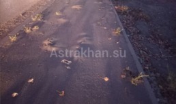 Администрация Астрахани разъяснила ситуацию с тротуарами в микрорайонах Бабаевского и Астрахань‑2