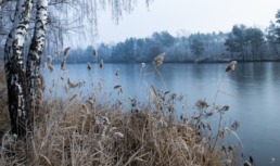 Вчера в реке Астраханской области обнаружили тело мужчины