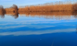 В Астраханской области погиб рыбак