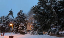 9 января в Астраханской области будет снежно