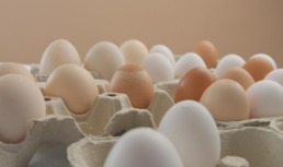 У астраханцев из холодильников воруют куриные яйца, рыбу и мясо