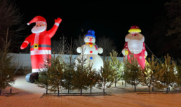 Администрация Астрахани отменила некоторые новогодние мероприятия из-за ситуации в стране
