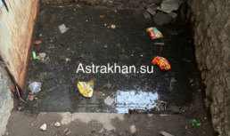 Федеральный следком заинтересовался затопленными подвалами в Астрахани