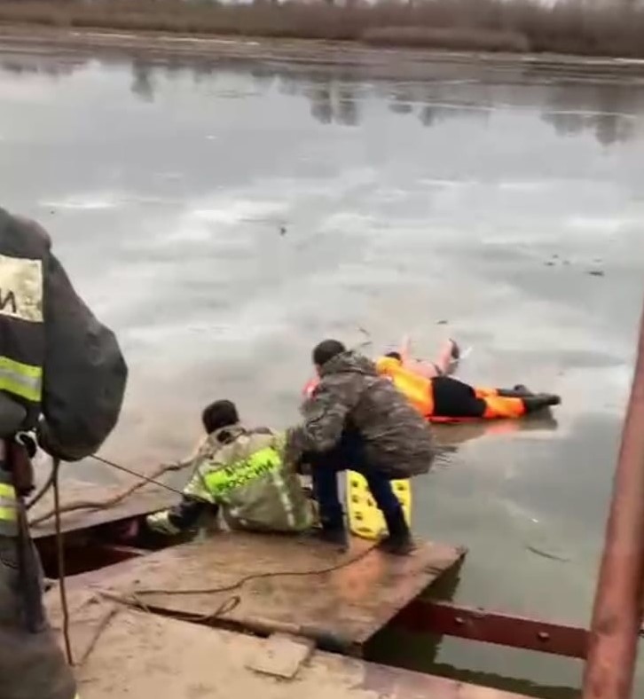 В лесу она не водится в реке