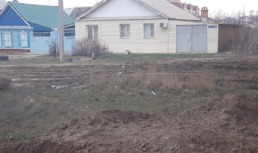 В Астрахани собаки напали на женщину с коляской
