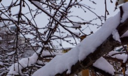 На этой неделе в Астрахани снова сильно похолодает