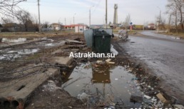В «ЭкоЦентре» прокомментировали ситуацию с перенакоплением мусора на улице Безжонова