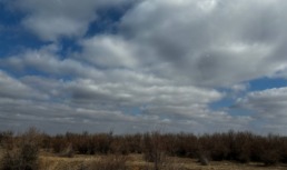 11 марта в Астрахани будет пасмурно и ветрено