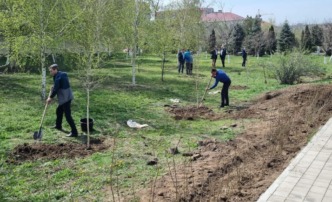 В Астрахани высадили около полутысячи деревьев и цветов