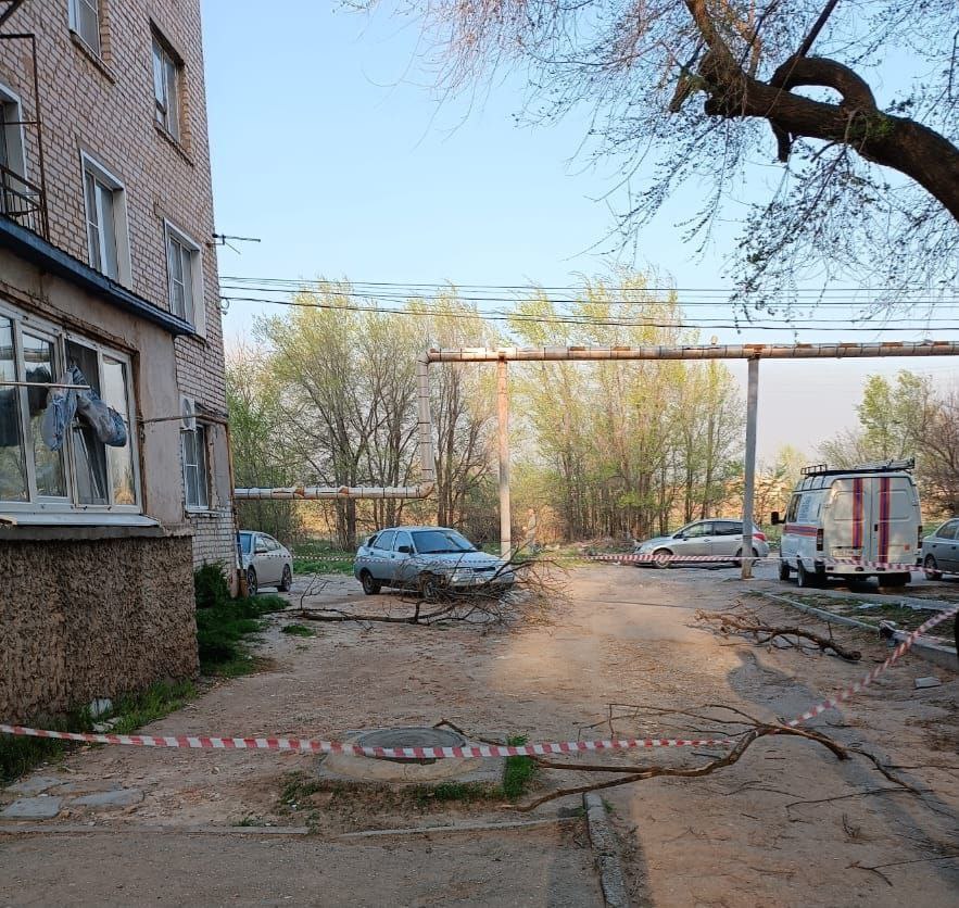 Накануне ветер повалил деревья и оборвал провода линий электропередач в Астрахани
