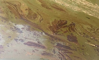 Росприроднадзор заинтересовался загрязнением реки Бертюль в Икрянинском районе Астраханской области