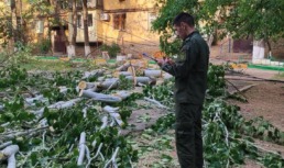 В Астрахани на 7‑летнюю девочку упало дерево