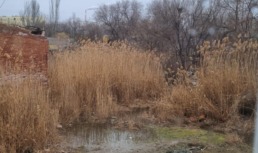 Астраханцы пожаловались председателю регионального правительства на канализацию и дороги Астраханцы пожаловались председателю регионального правительства на канализацию и дороги