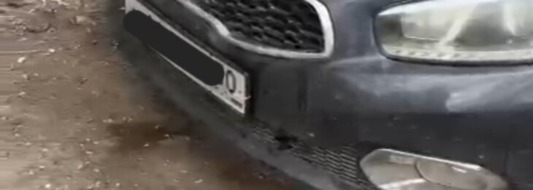 погрызли машину