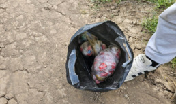 В Астрахани задержали волгоградских наркодилеров
