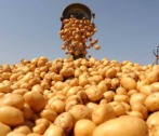 Астраханские аграрии планируют побить прошлогодний рекорд по урожаю