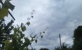 14 июня в Астрахани снова обещают дожди