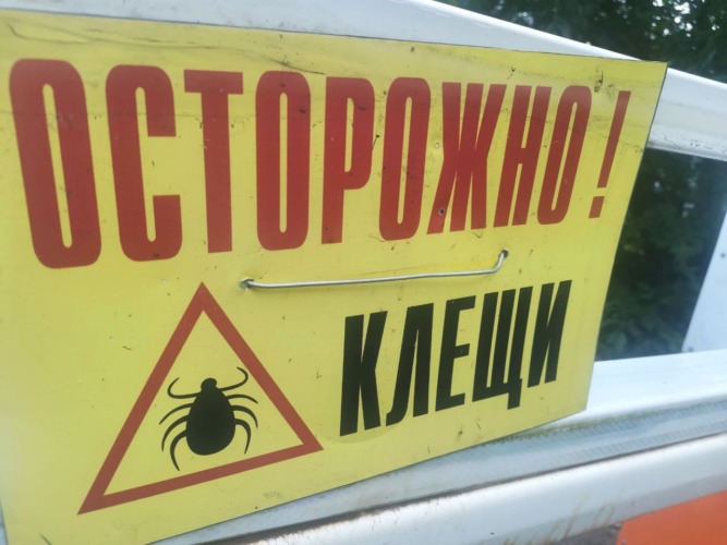 осторожно клещи