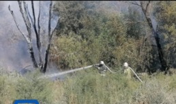 В Астраханской области снова горит сухостой
