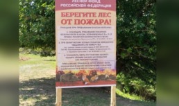 Астраханцам запретили до 28 июля ходить в лес