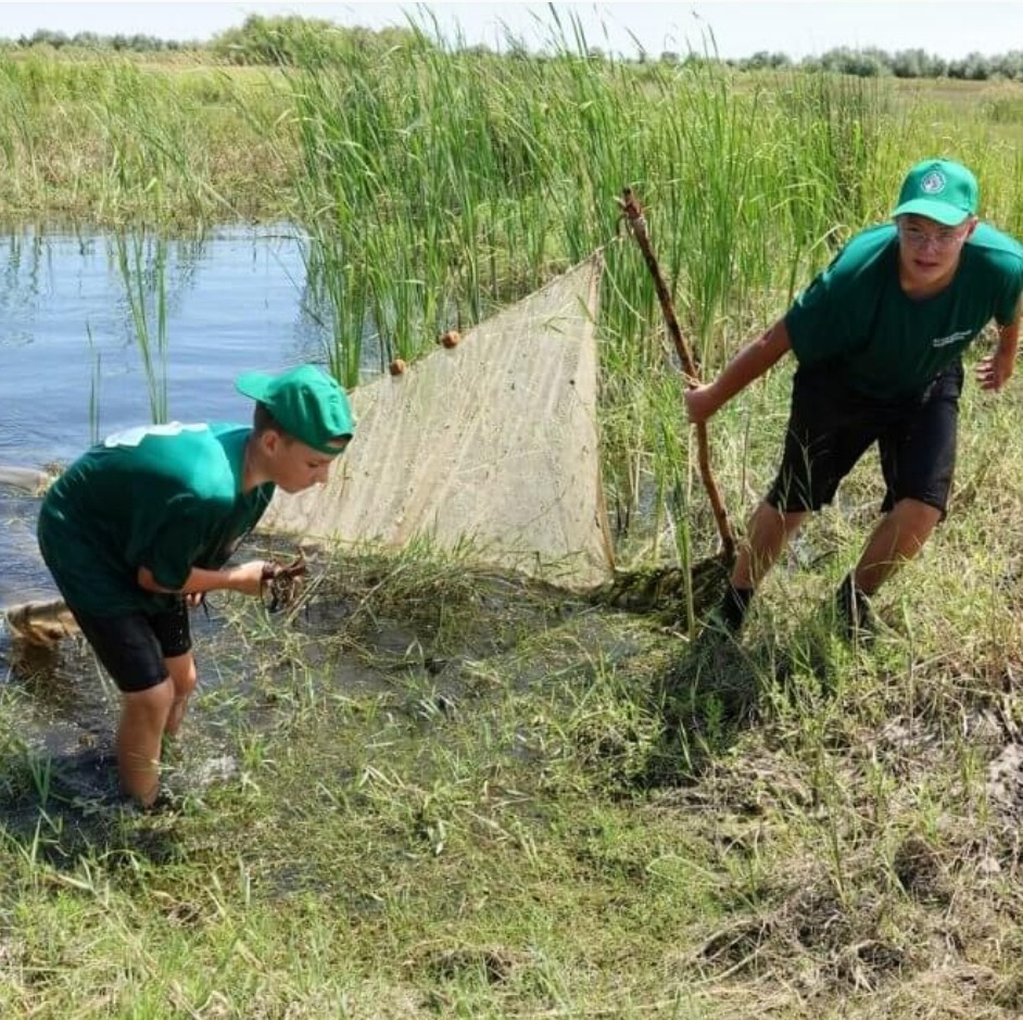 В Астраханской области школьники за два дня спасли 70 тысяч мальков