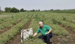 Астраханский фермер выращивает маракуйю, питахайю и момордику