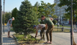 В Астрахани привели в порядок сквер Ветеранов