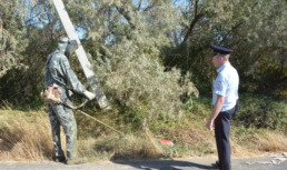 С улиц Астрахани убирают наркосодержащую растительность