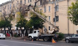 В Астрахани приводят в порядок деревья