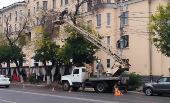 В Астрахани приводят в порядок деревья