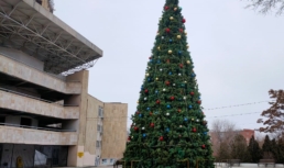 Стало известно, когда в Астрахани установят главную городскую елку